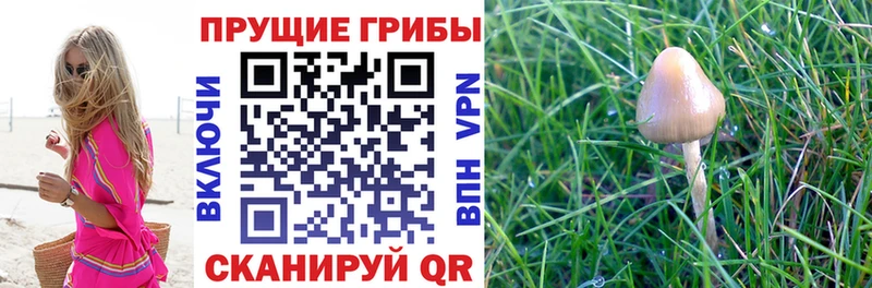 Галлюциногенные грибы MAGIC MUSHROOMS  Тетюши 